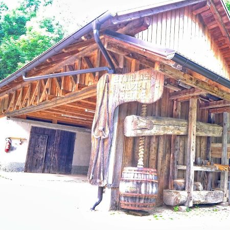 מלון Vitanje Glamping Brodej מראה חיצוני תמונה